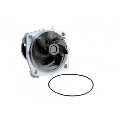 motone6208875